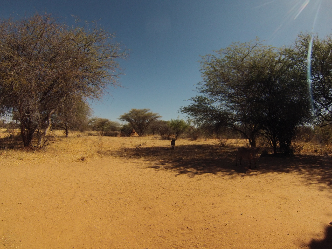 [8914] 2016_06_23_12_09_58_Africa_Hero3-Silver_Edition_IMG__00389.jpg