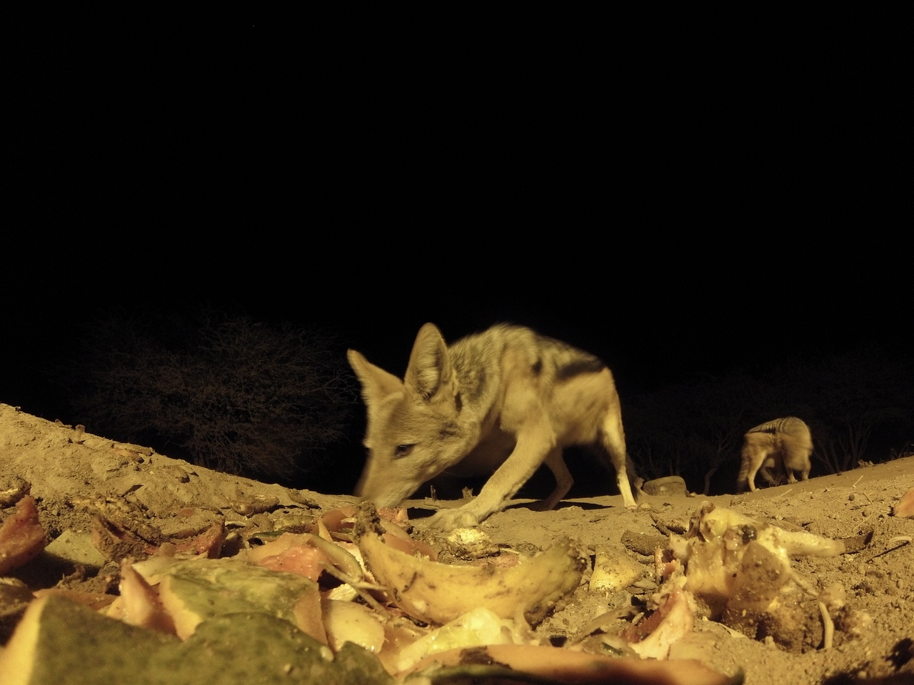 [10000] 2016_06_23_18_49_26_Africa_Hero3-Silver_Edition_IMG__01035.jpg