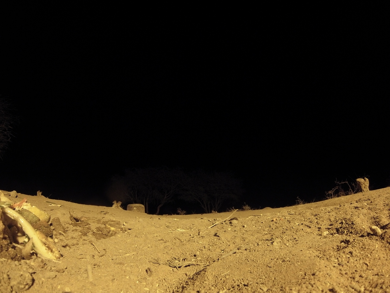 [10139] 2016_06_23_19_00_40_Africa_Hero3-Silver_Edition_IMG__01090.jpg