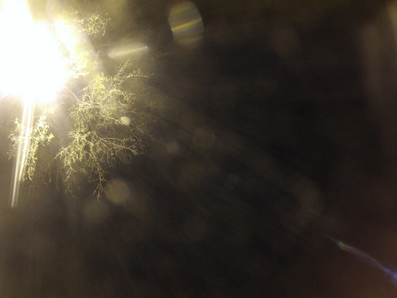 [13461] 2016_06_23_20_29_39_Africa_Hero3-Silver_Edition_IMG__00494.jpg