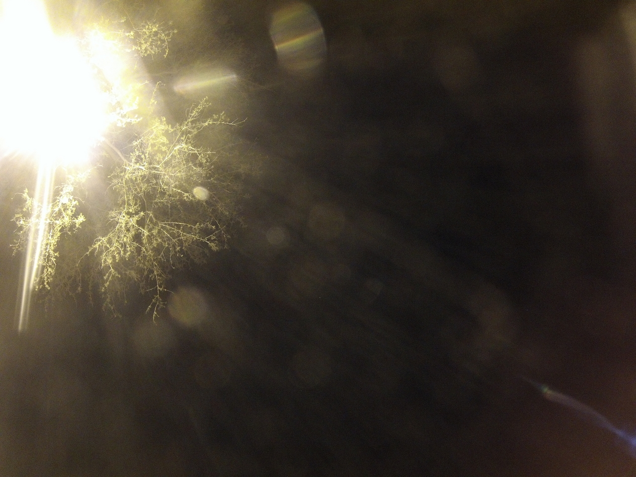 [13571] 2016_06_23_20_31_15_Africa_Hero3-Silver_Edition_IMG__00518.jpg