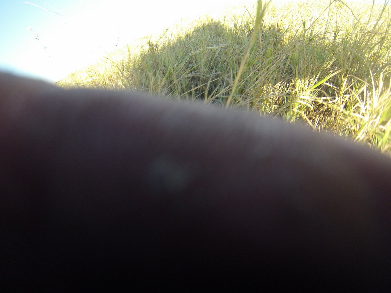 [25356] 2016_06_30_15_00_29_Africa_Hero3-Silver_Edition_IMG__01941.jpg