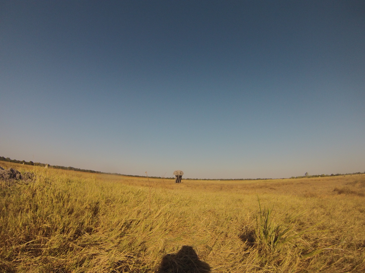 [25383] 2016_06_30_15_00_47_Africa_Hero3-Silver_Edition_IMG__01950.jpg