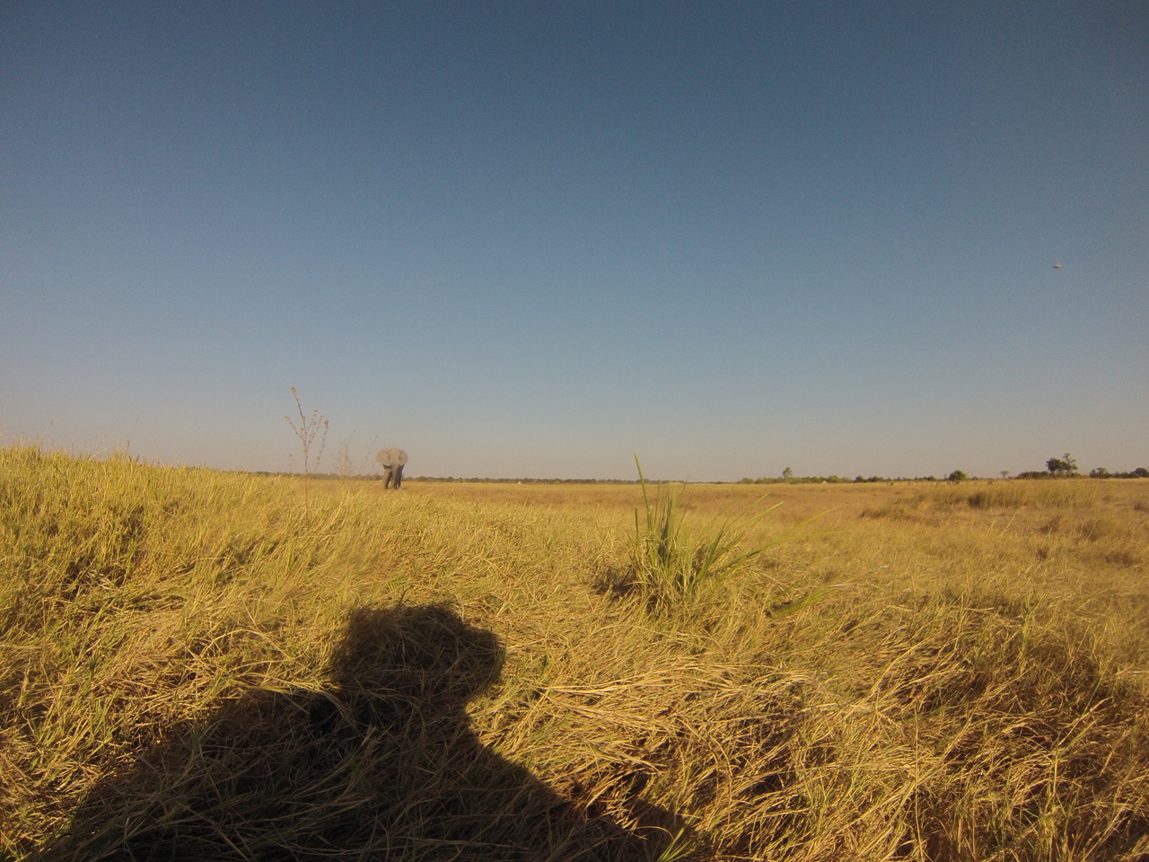 [25385] 2016_06_30_15_00_49_Africa_Hero3-Silver_Edition_IMG__01503.jpg