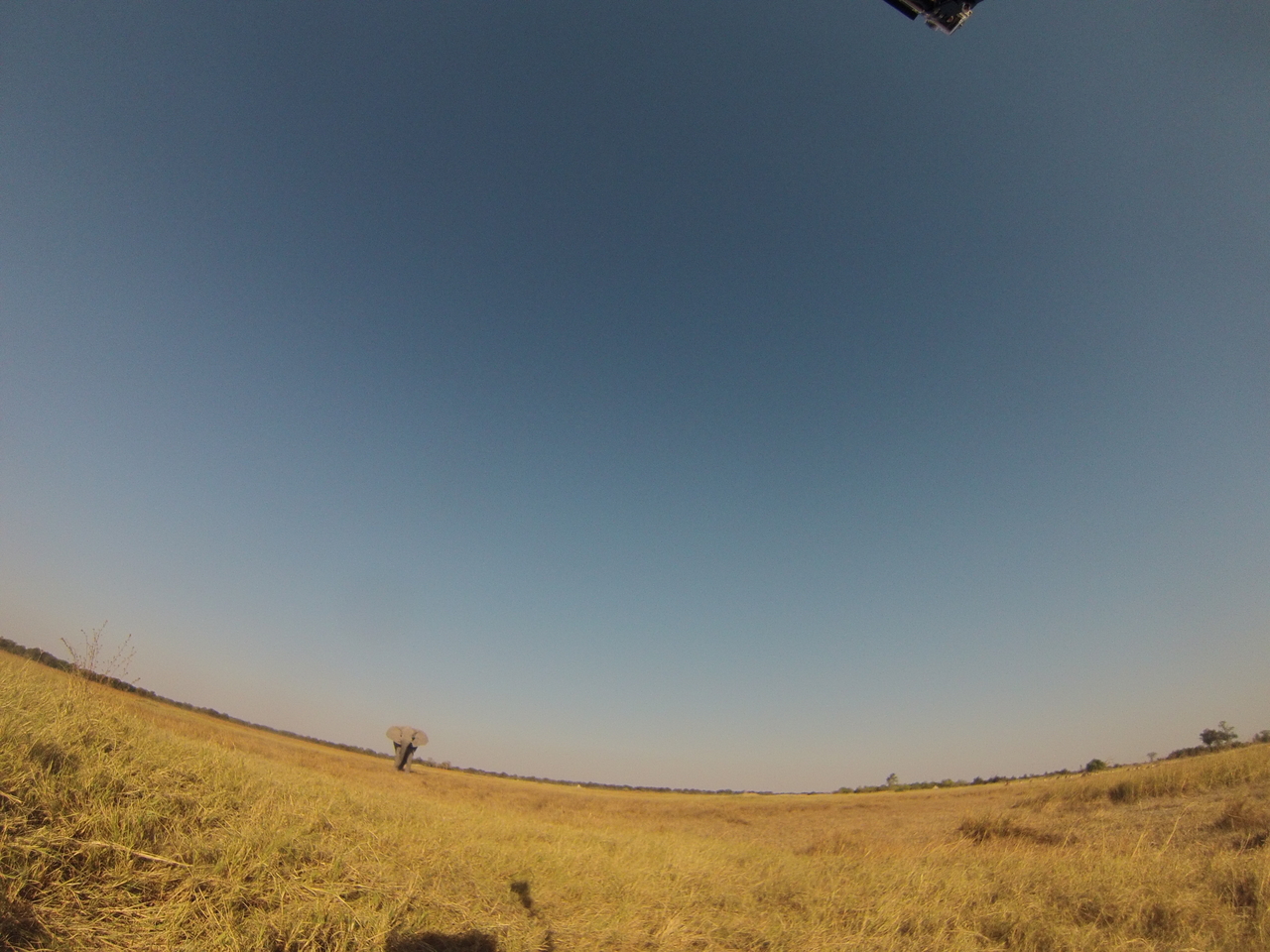 [25452] 2016_06_30_15_01_35_Africa_Hero3-Silver_Edition_IMG__01973.jpg