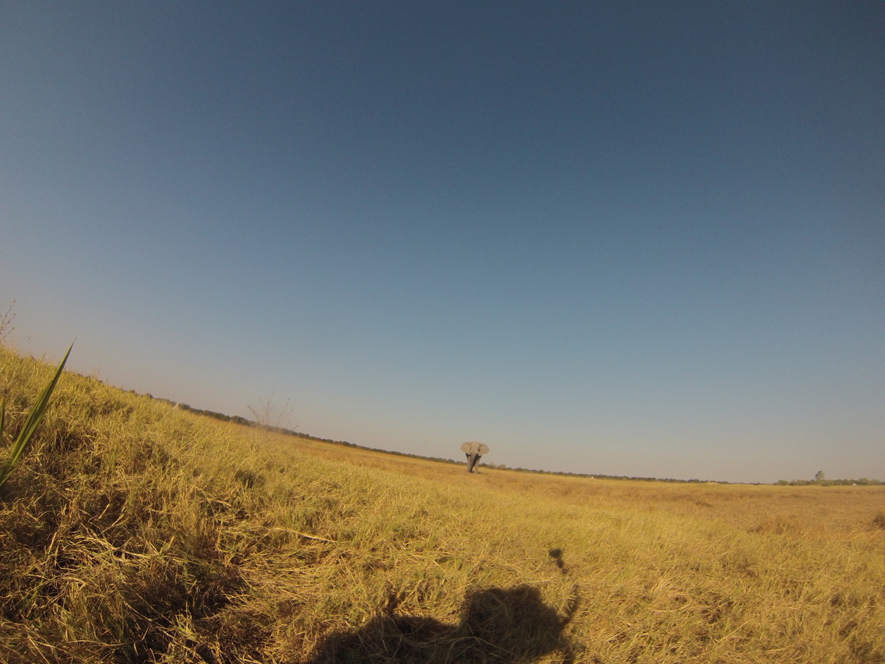 [25454] 2016_06_30_15_01_37_Africa_Hero3-Silver_Edition_IMG__01526.jpg