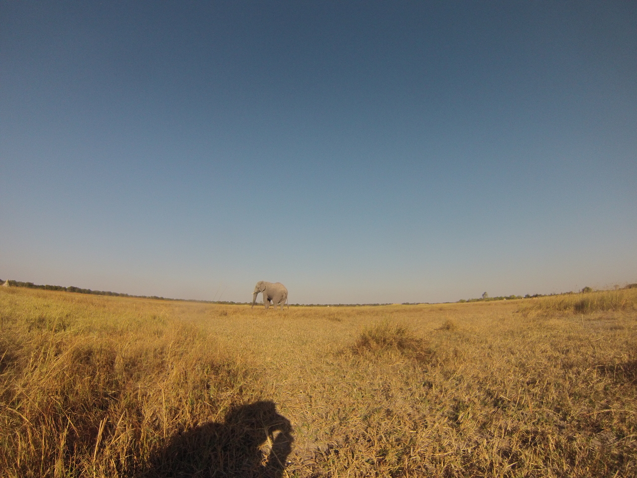 [25706] 2016_06_30_15_04_29_Africa_Hero3-Silver_Edition_IMG__01610.jpg
