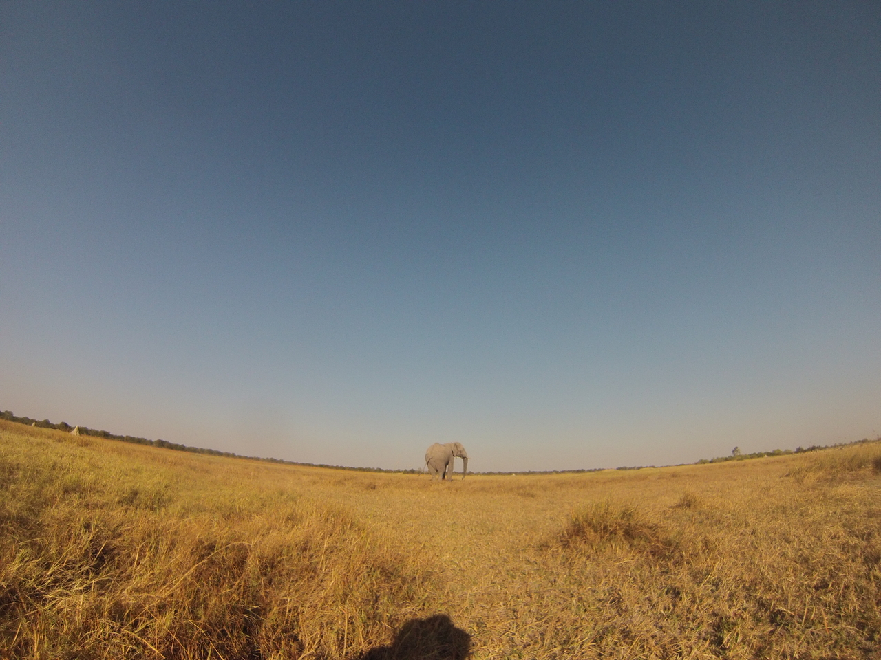[25726] 2016_06_30_15_04_45_Africa_Hero3-Silver_Edition_IMG__00671.jpg