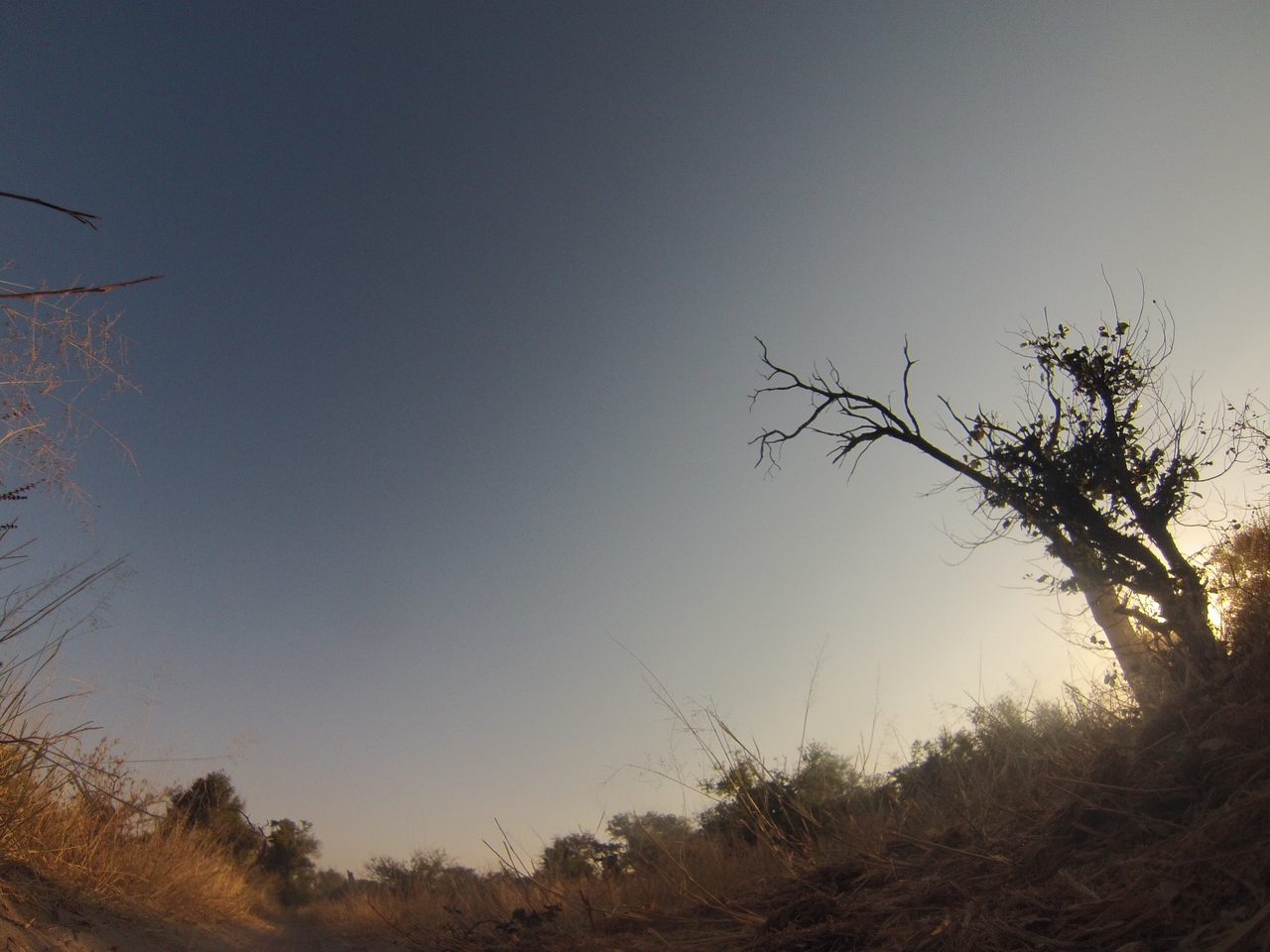[25893] 2016_06_30_16_04_38_Africa_Hero3-Silver_Edition_IMG__01660.jpg