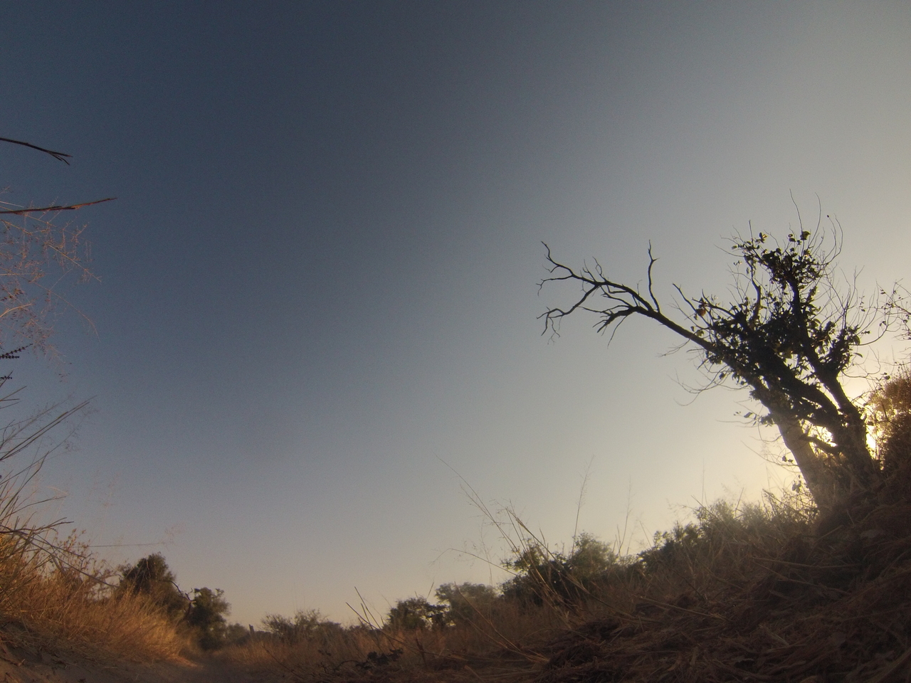 [25974] 2016_06_30_16_05_32_Africa_Hero3-Silver_Edition_IMG__01687.jpg