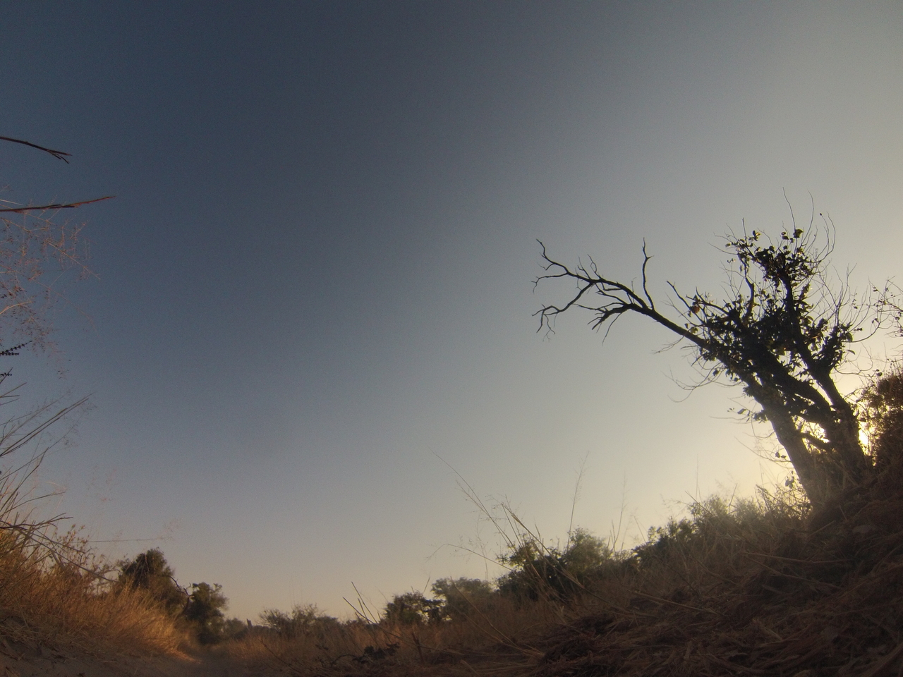 [26057] 2016_06_30_16_06_28_Africa_Hero3-Silver_Edition_IMG__00769.jpg