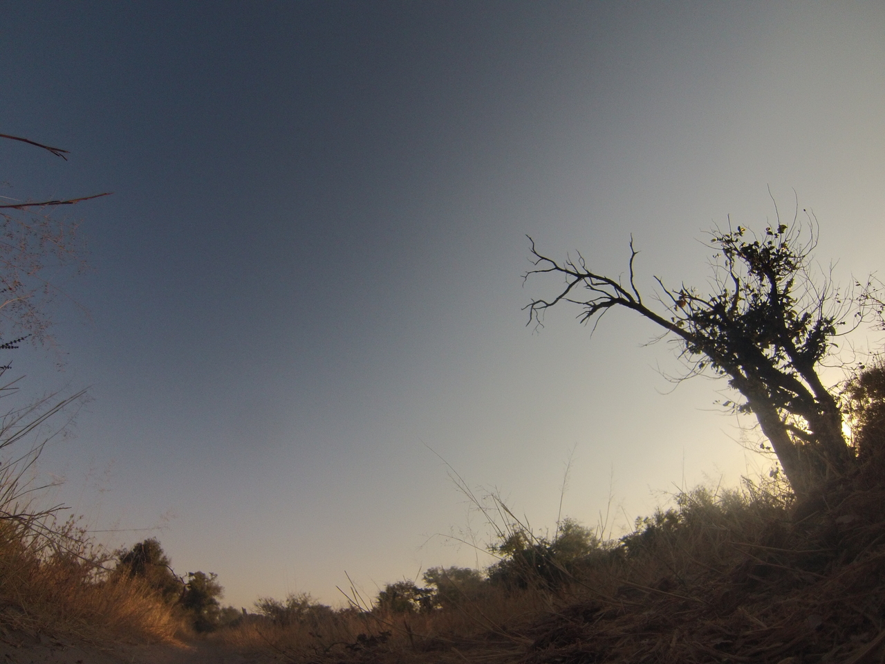 [26180] 2016_06_30_16_07_52_Africa_Hero3-Silver_Edition_IMG__00810.jpg