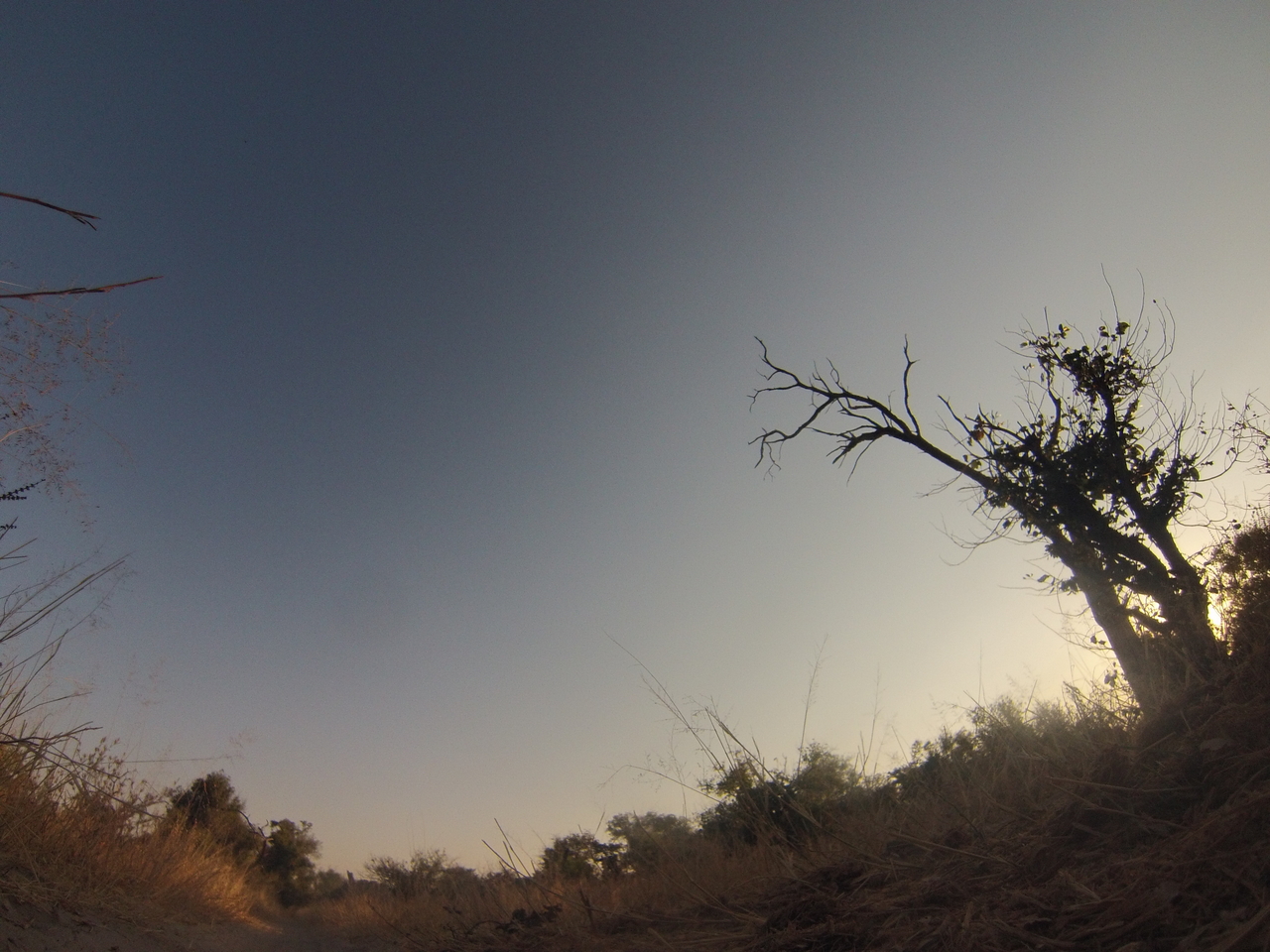 [26185] 2016_06_30_16_07_54_Africa_Hero3-Silver_Edition_IMG__02205.jpg