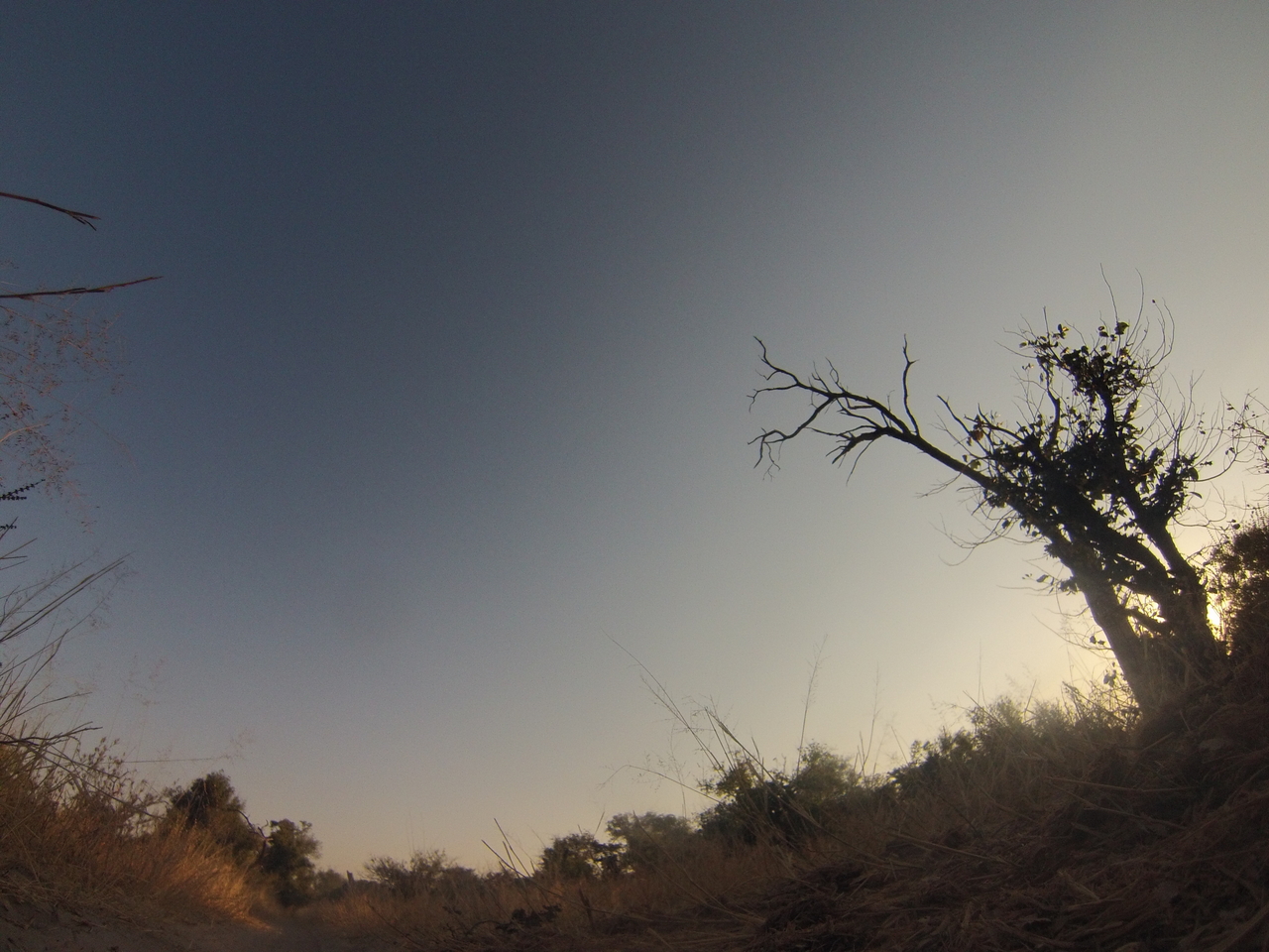 [26242] 2016_06_30_16_08_32_Africa_Hero3-Silver_Edition_IMG__02224.jpg