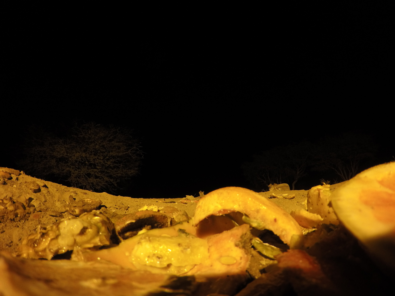 [10411] 2016_06_23_19_04_41_Africa_HERO4_Silver_IMG__03922.jpg