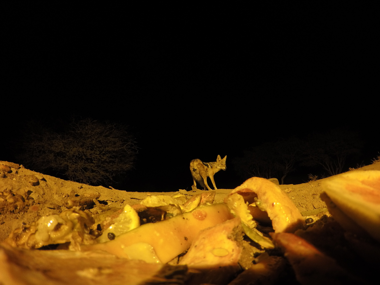 [10598] 2016_06_23_19_08_06_Africa_HERO4_Silver_IMG__00108.jpg