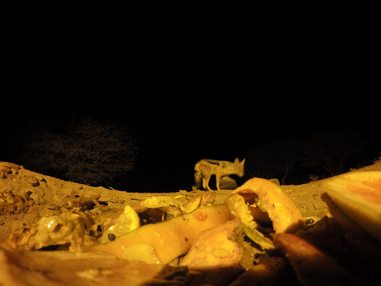 [10602] 2016_06_23_19_08_12_Africa_HERO4_Silver_IMG__00109.jpg