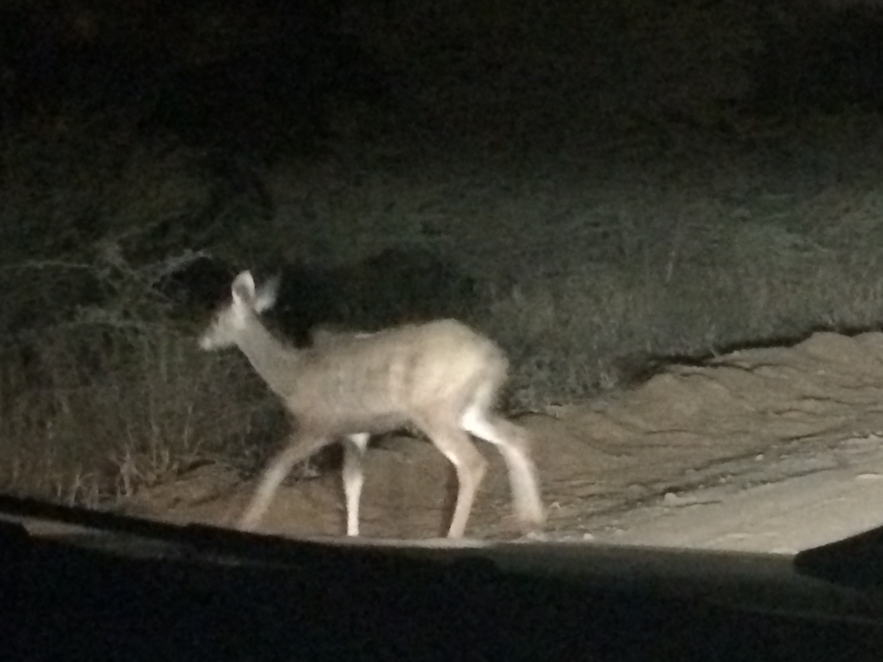 [246] 2016_06_21_13_13_13_Africa_iPhone_5s_IMG__00103.jpg