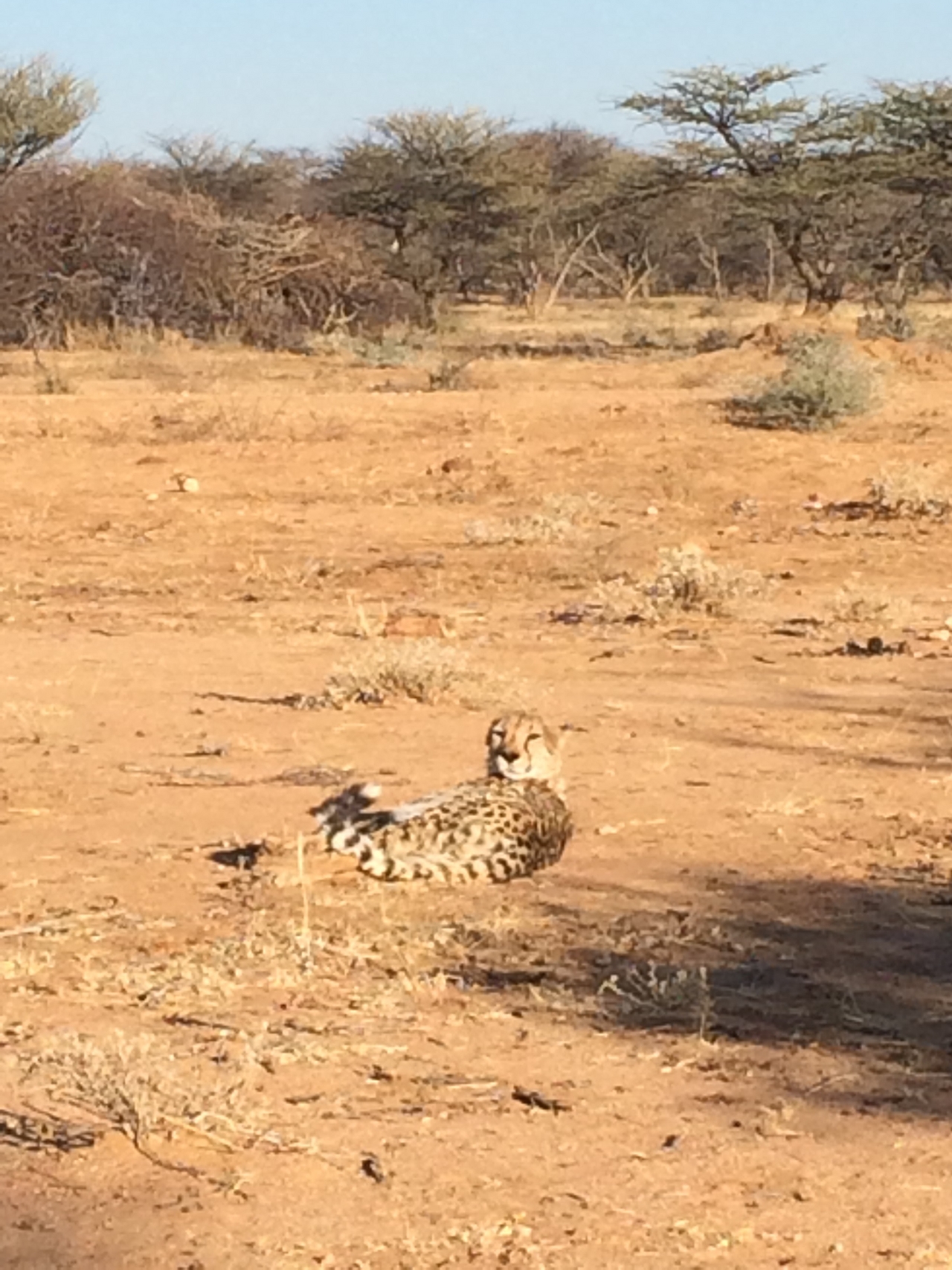 [928] 2016_06_22_02_48_52_Africa_iPhone_5s_IMG_8054_00150.jpg