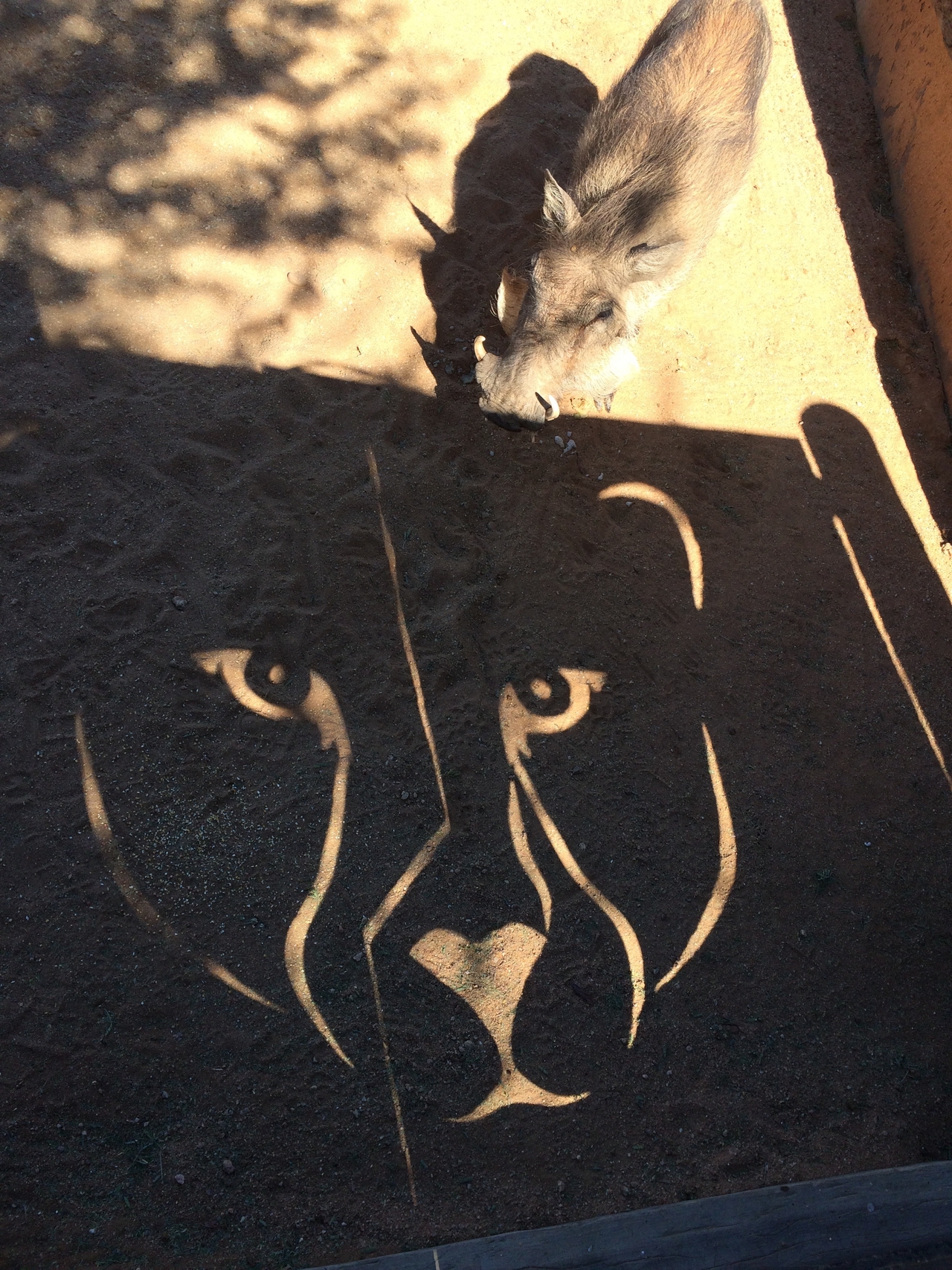 [2192] 2016_06_22_06_01_02_Africa_iPhone_5s_IMG_8077_00192.jpg