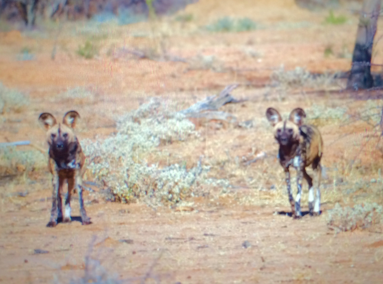 [2224] 2016_06_22_07_06_09_Africa_iPhone_5s_IMG_8083_00202.jpg