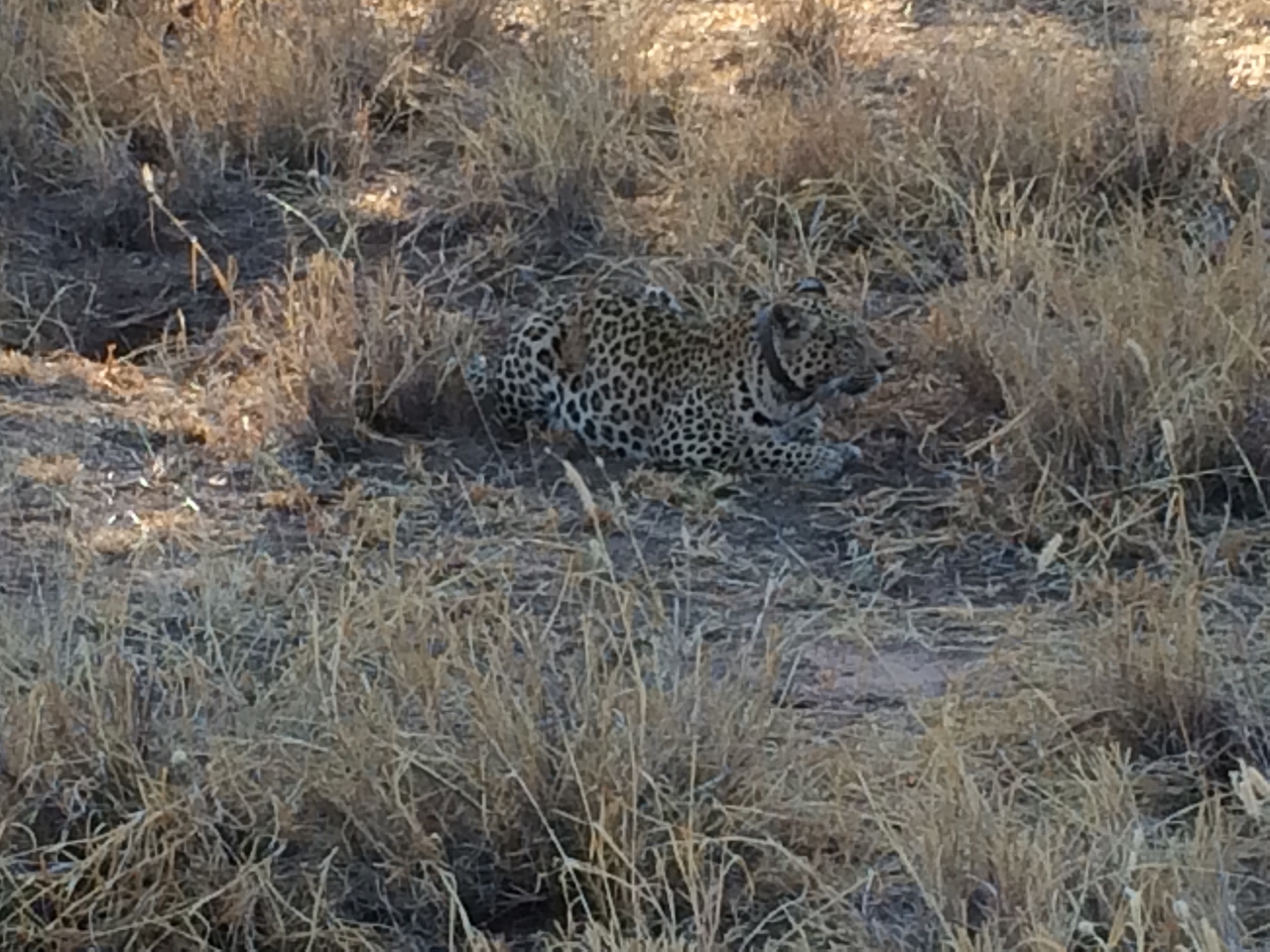 [2588] 2016_06_22_10_59_15_Africa_iPhone_5s_IMG_8089_00210.jpg