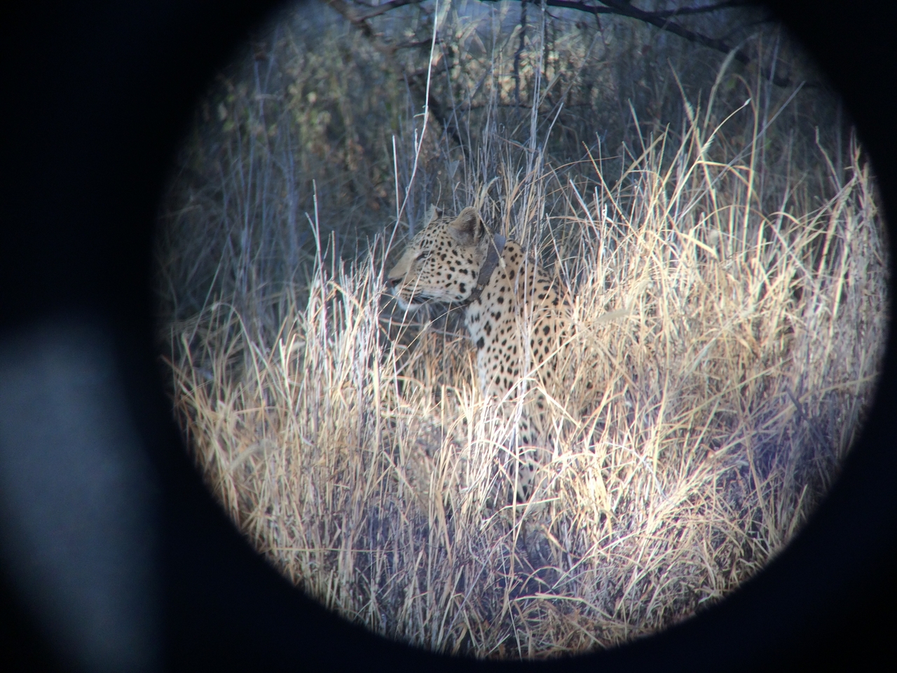 [2965] 2016_06_22_11_08_21_Africa_iPhone_5s_IMG__00217.jpg