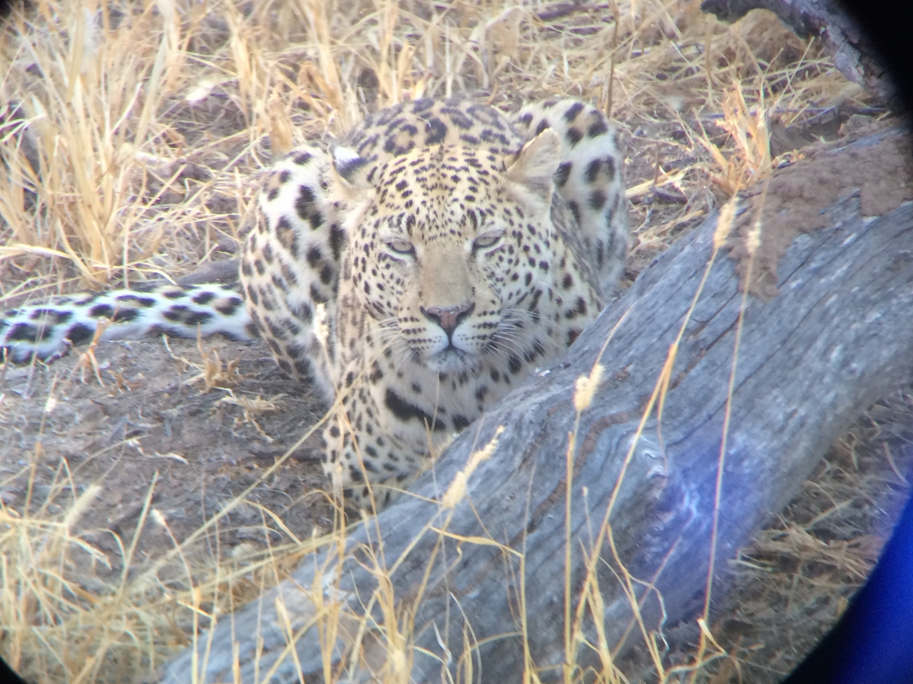 [3094] 2016_06_22_11_22_42_Africa_iPhone_5s_IMG__00221.jpg