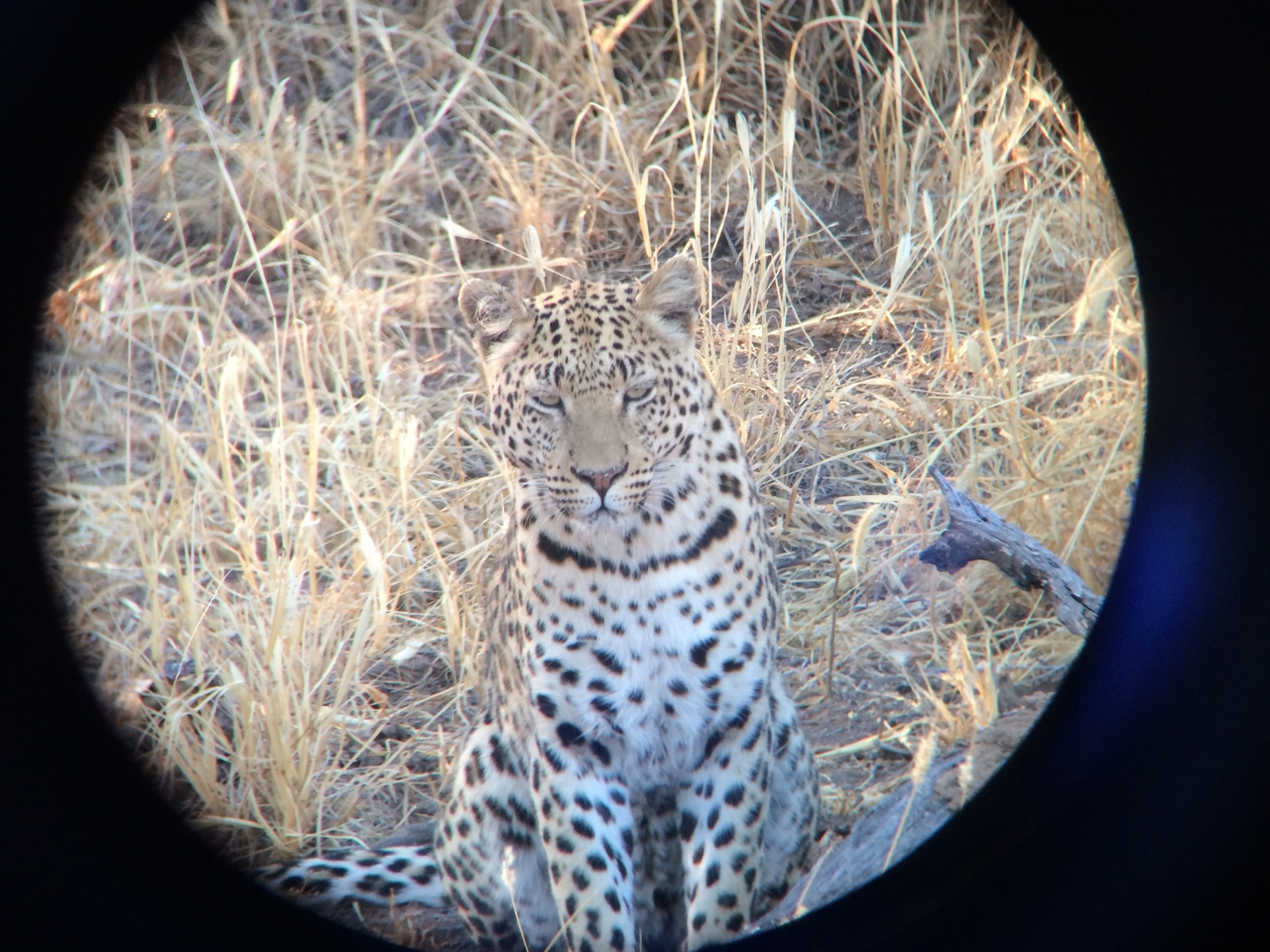 [3222] 2016_06_22_11_23_37_Africa_iPhone_5s_IMG__05841.jpg