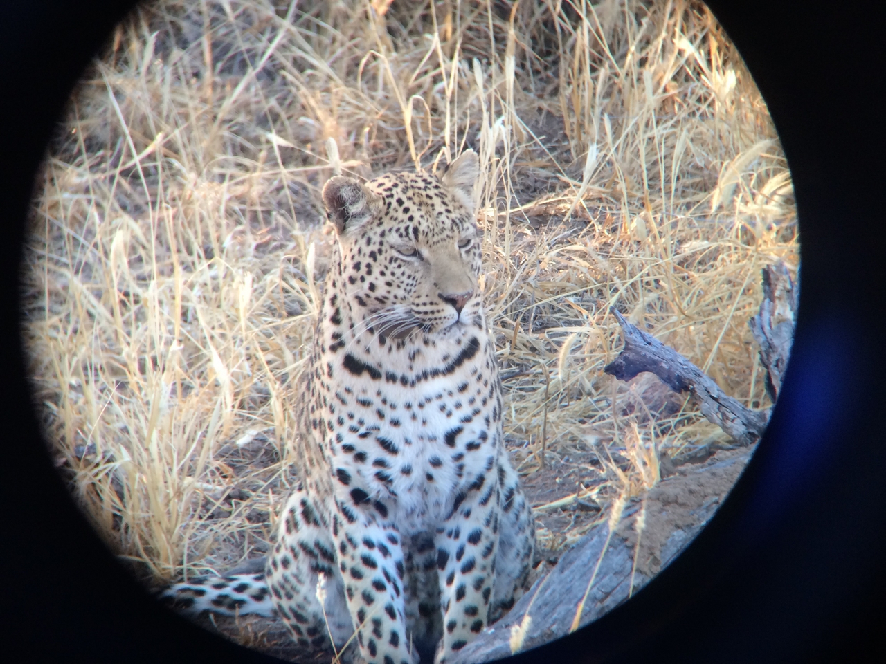 [3223] 2016_06_22_11_23_39_Africa_iPhone_5s_IMG_8112_00228.jpg