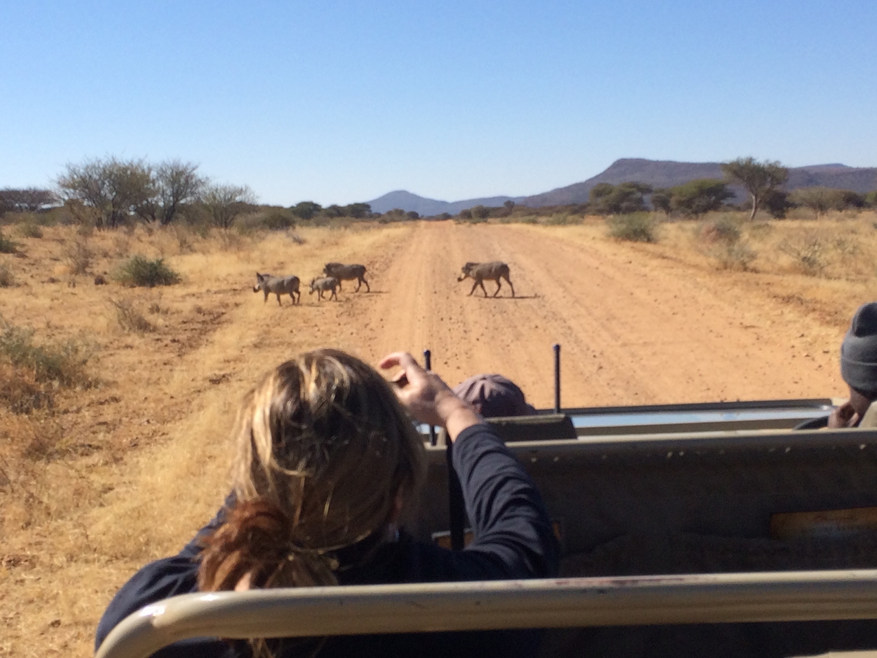 [5010] 2016_06_23_05_15_04_Africa_iPhone_5s_IMG__00293.jpg