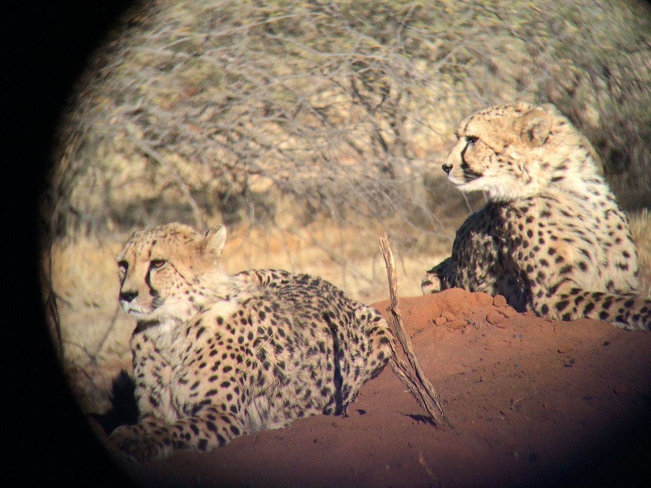 [6587] 2016_06_23_10_55_01_Africa_iPhone_5s_IMG_8193_05948.jpg