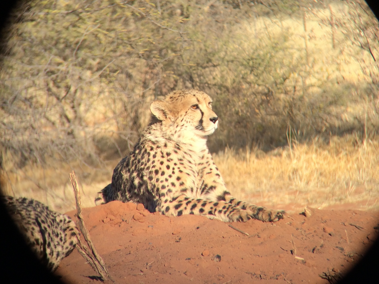[6615] 2016_06_23_10_55_40_Africa_iPhone_5s_IMG__05953.jpg