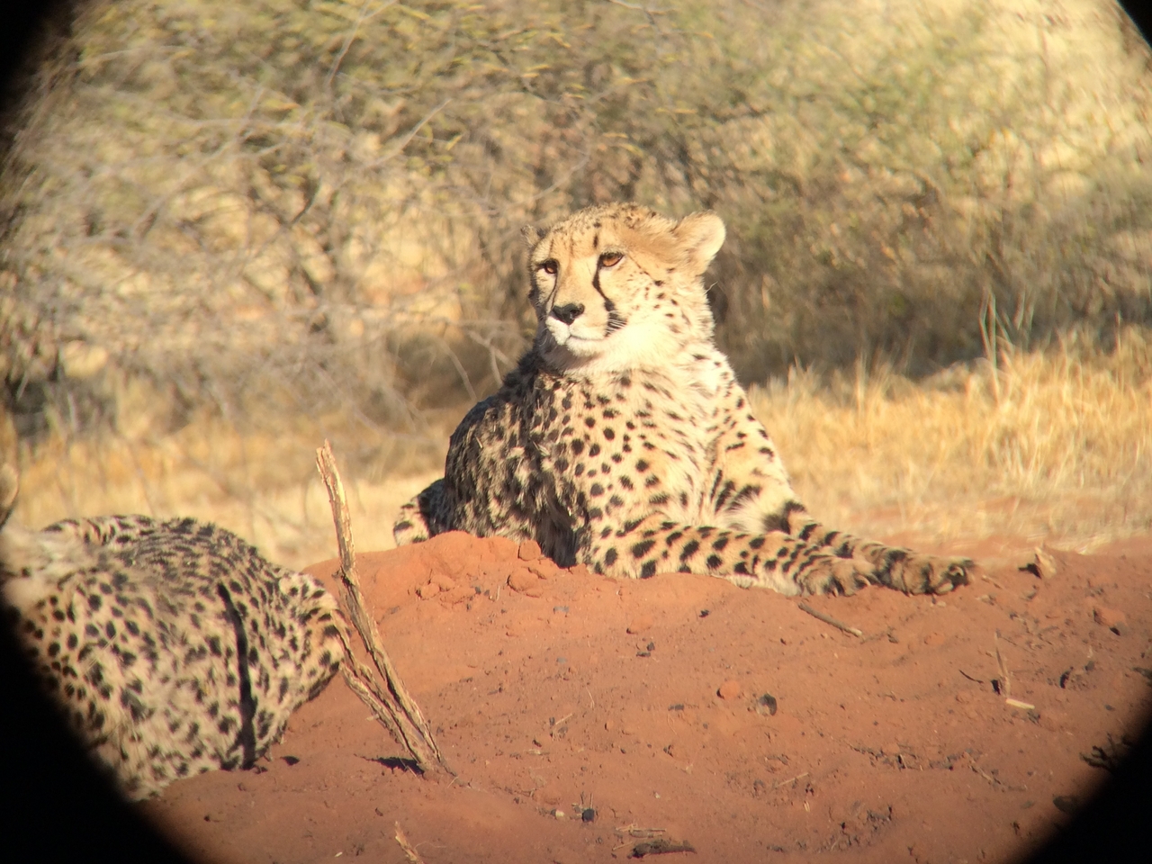[6642] 2016_06_23_10_55_58_Africa_iPhone_5s_IMG__05959.jpg