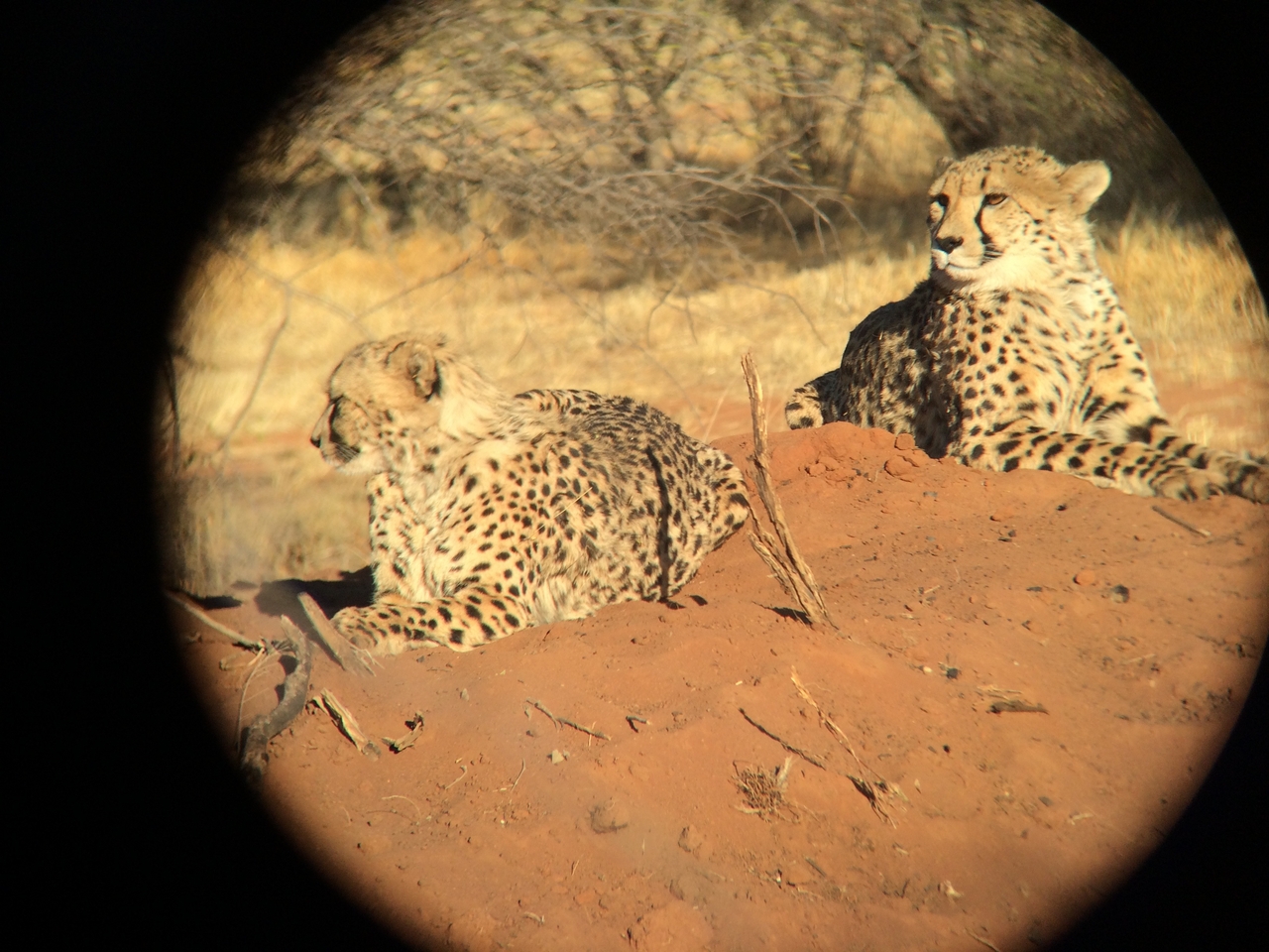 [6781] 2016_06_23_10_59_52_Africa_iPhone_5s_IMG__00349.jpg