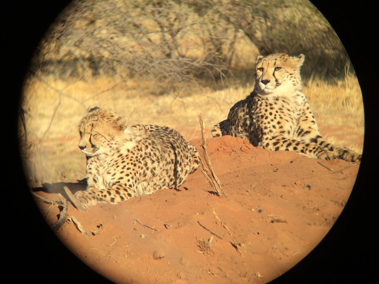 [6845] 2016_06_23_11_00_38_Africa_iPhone_5s_IMG__05969.jpg