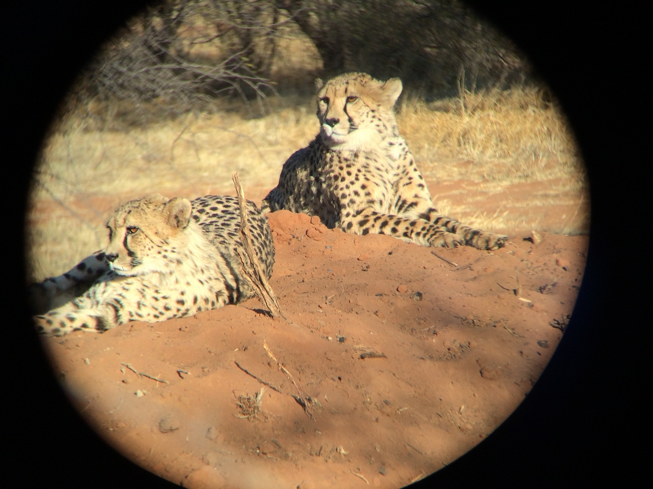 [6976] 2016_06_23_11_07_16_Africa_iPhone_5s_IMG_8209_05970.jpg