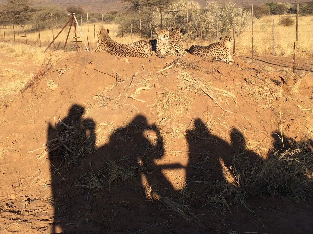[7147] 2016_06_23_11_20_34_Africa_iPhone_5s_IMG_8222_05994.jpg