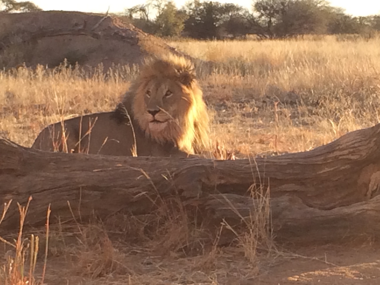 [7825] 2016_06_23_11_46_20_Africa_iPhone_5s_IMG__00395.jpg