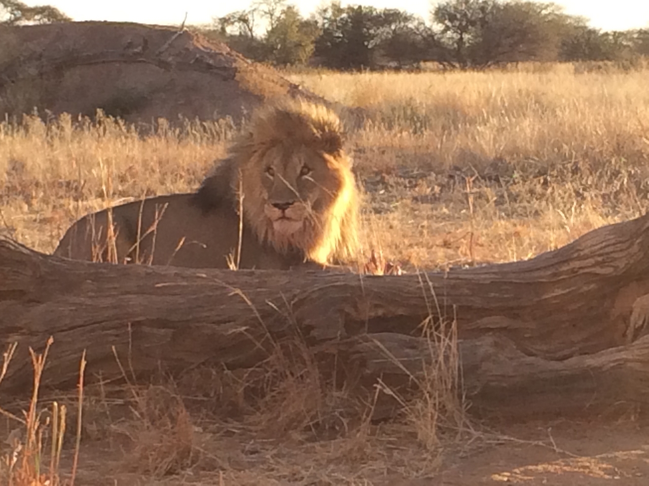 [7828] 2016_06_23_11_46_21_Africa_iPhone_5s_IMG_8234_00396.jpg