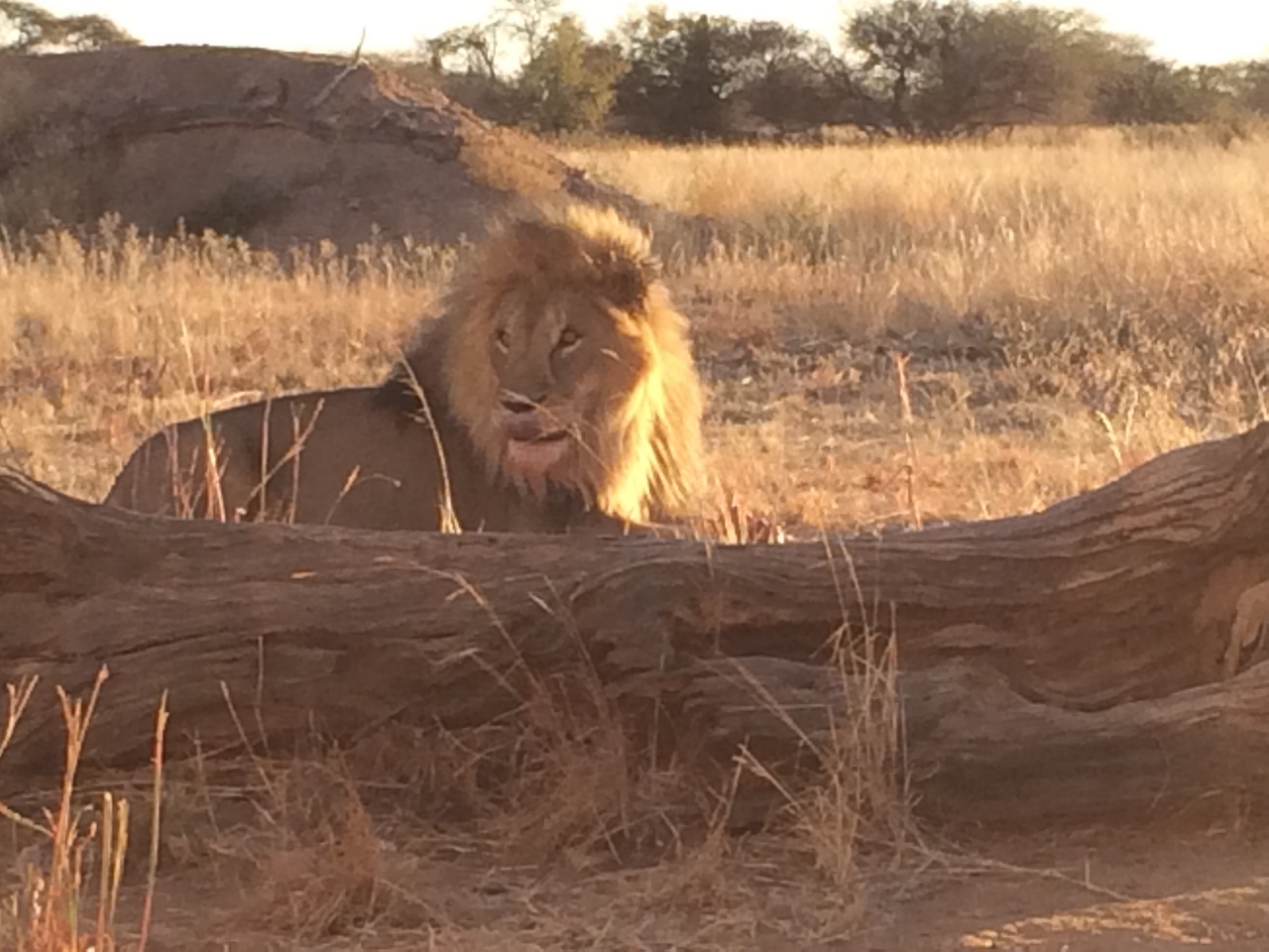 [7843] 2016_06_23_11_46_22_Africa_iPhone_5s_IMG__00399.jpg
