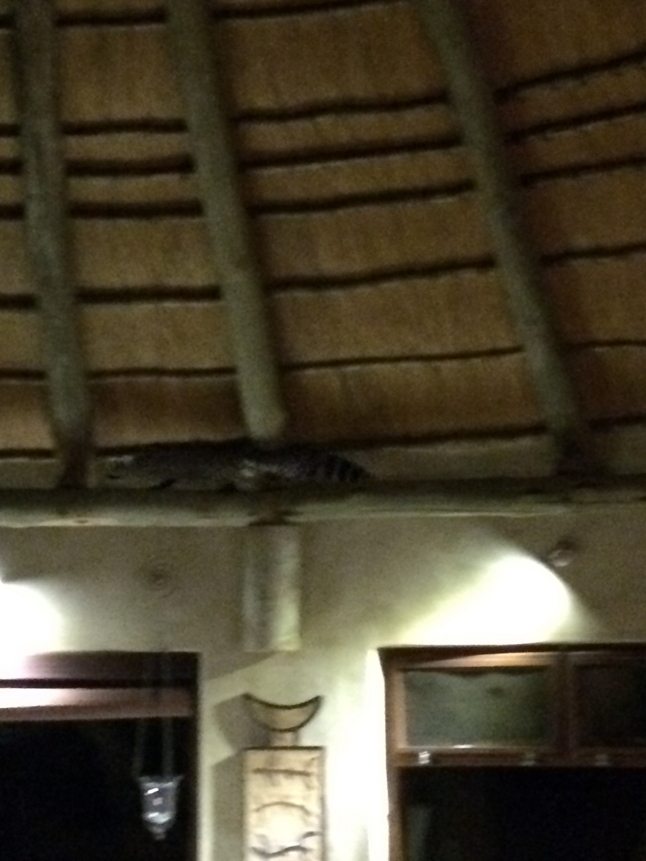 [9589] 2016_06_23_17_52_24_Africa_iPhone_5s_IMG__06069.jpg