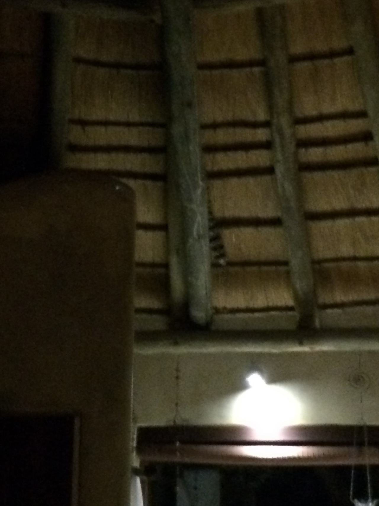 [9593] 2016_06_23_17_52_25_Africa_iPhone_5s_IMG__06071.jpg