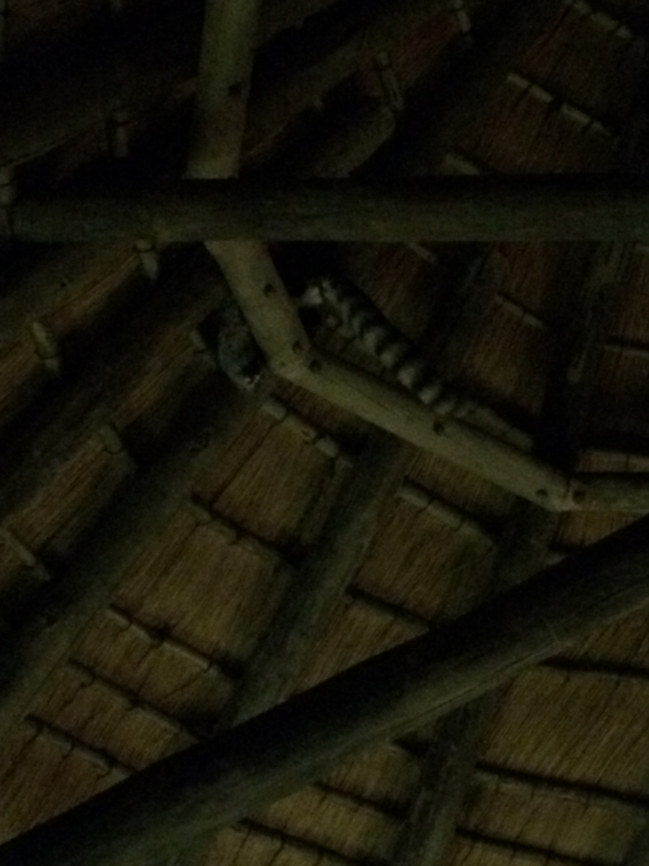[9598] 2016_06_23_17_53_34_Africa_iPhone_5s_IMG_8275_00460.jpg