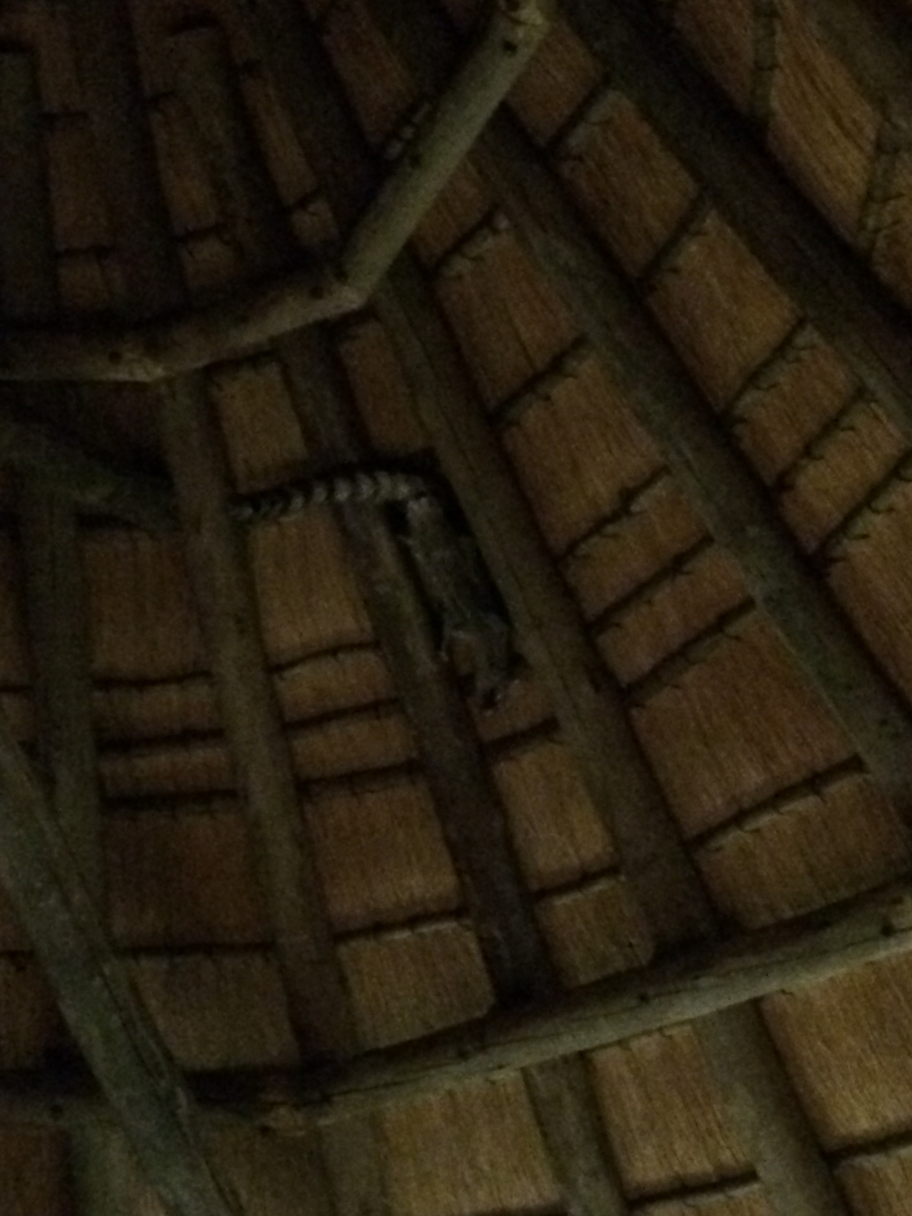 [9613] 2016_06_23_17_54_00_Africa_iPhone_5s_IMG__06081.jpg