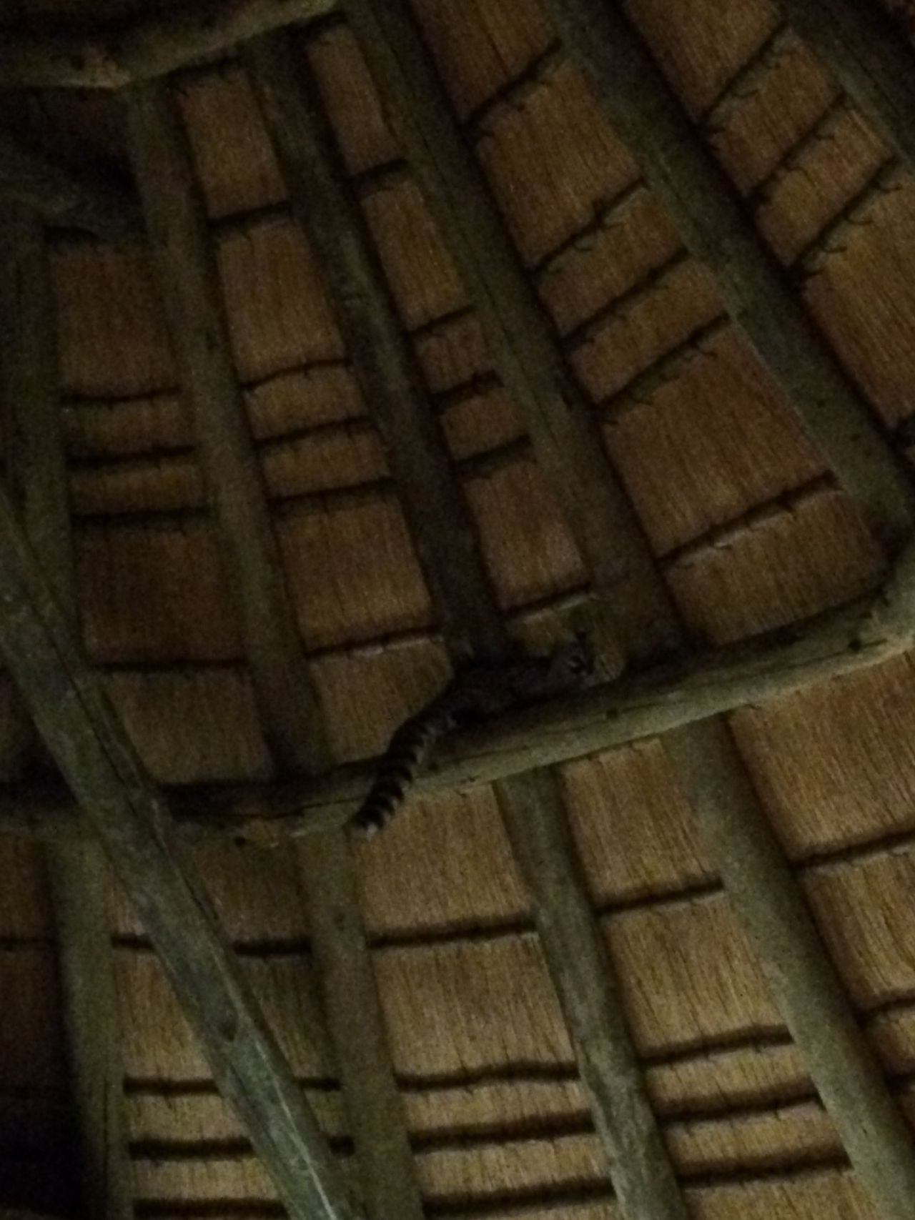 [9617] 2016_06_23_17_54_06_Africa_iPhone_5s_IMG__06083.jpg