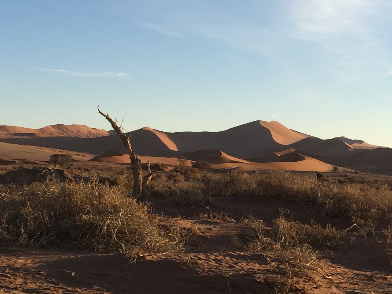 [14690] 2016_06_25_02_20_51_Africa_iPhone_5s_IMG__06127.jpg