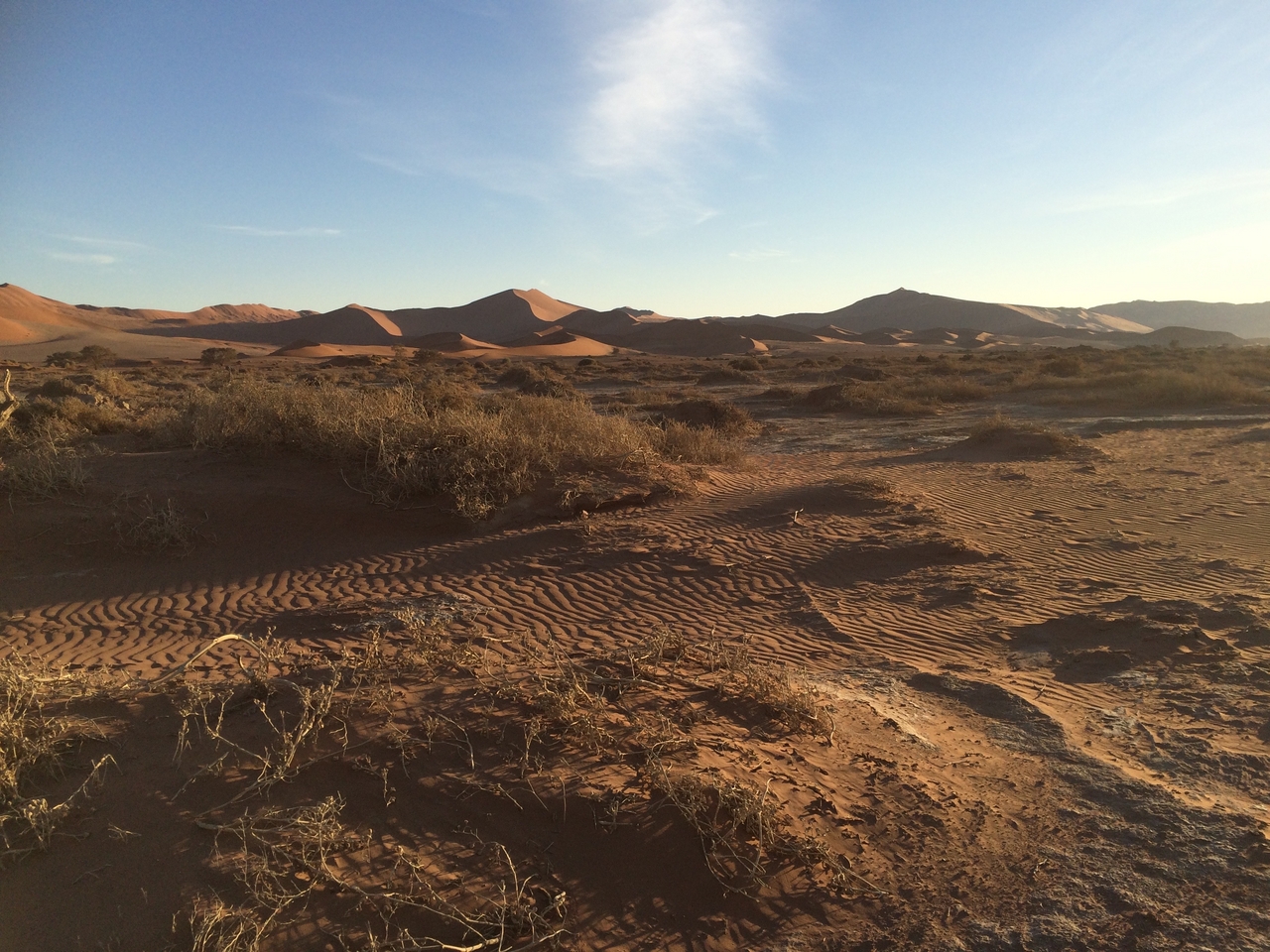 [14715] 2016_06_25_02_21_57_Africa_iPhone_5s_IMG__06129.jpg