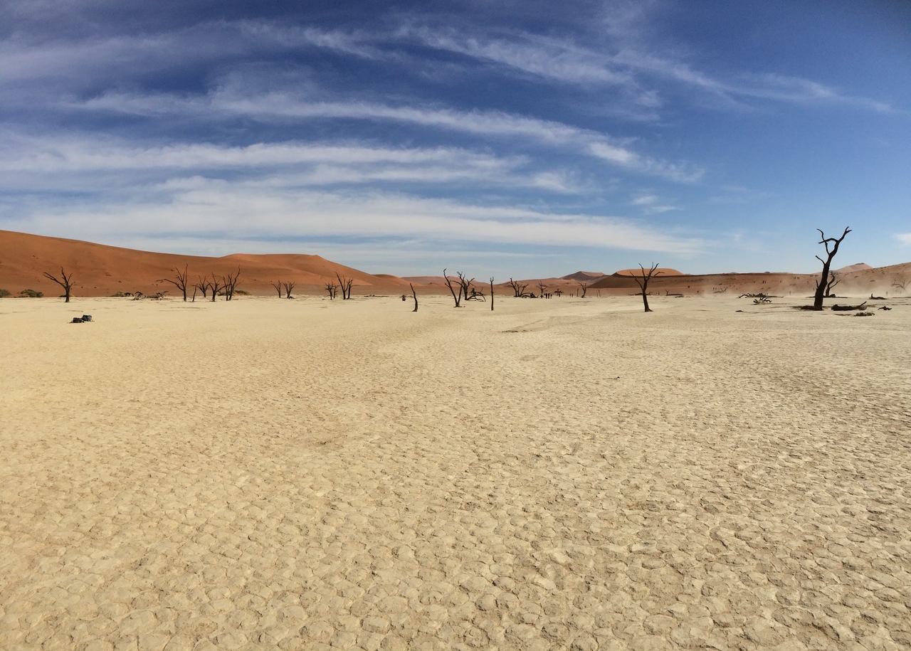[15355] 2016_06_25_05_07_10_Africa_iPhone_5s_IMG_8353_06168.jpg