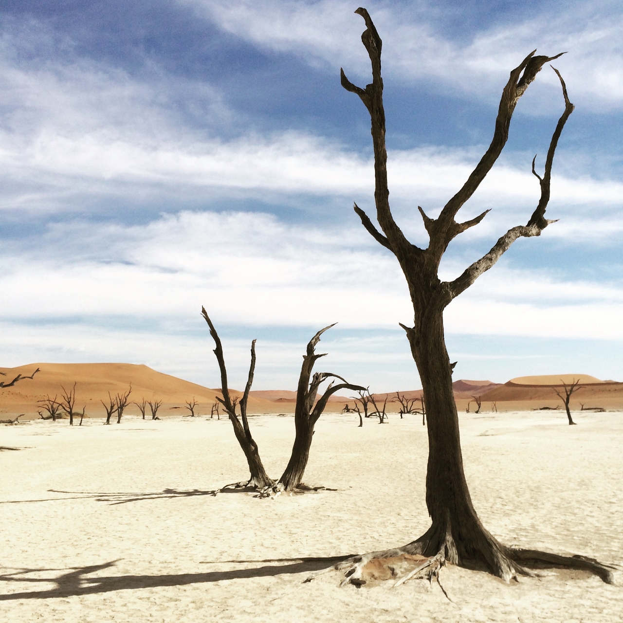 [15373] 2016_06_25_05_22_00_Africa_iPhone_5s_IMG__06247.jpg